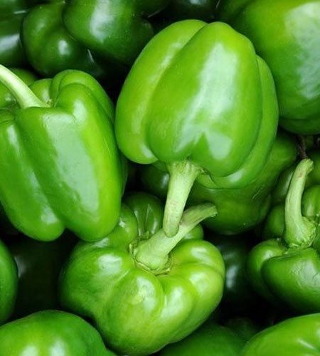 a-grade-green-capsicum-1721629725-7531117